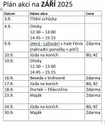 Plan-akci-2